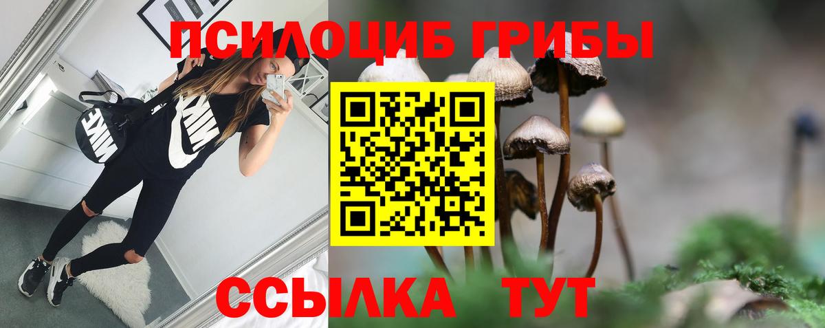 Псилоцибиновые грибы Psilocybine cubensis Знаменск