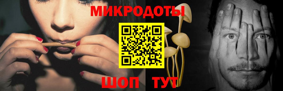 Псилоцибиновые грибы мицелий  Вход с VPN  где найти наркотики  Знаменск  Псилоцибиновые грибы Psilocybe 