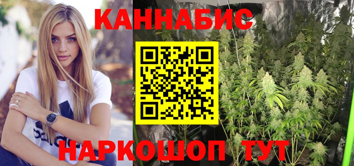 Конопля планчик  Марихуана конопля  Бошки Шишки Amnesia  Знаменск  Канабис планчик  Вход с VPN 